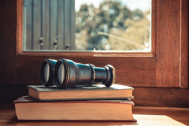 Hnědá okna jsou univerzální. 